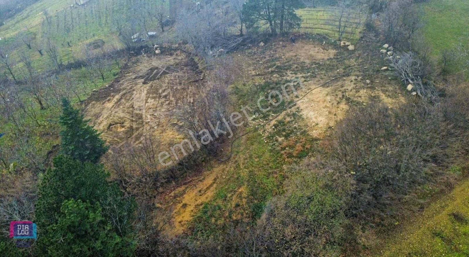 Dialog Skala'dan İnegöl Kıran Köyünde Satılık Tarla - Görsel 3