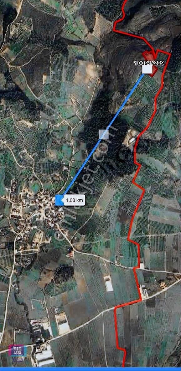 Dialog Skaladan Bursa Aksıngurda Satılık Tarla