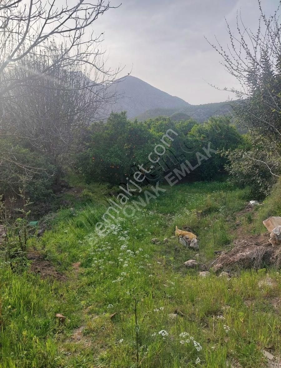 Fırsat 2260 M2 Bu Fiyata!!