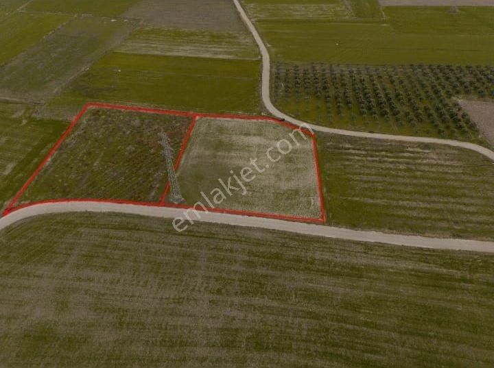 Aliağa Yalı Mahallesinde 5 Dönüm Satılık Tarla - Görsel 5