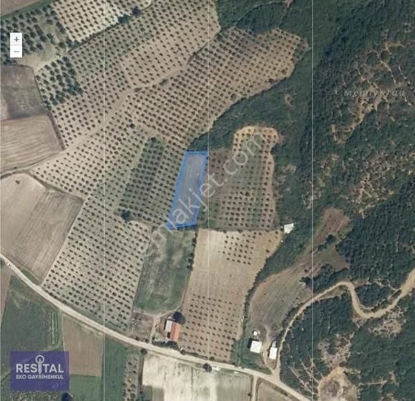 Bursa Teknosab Mudanya Evciler'de Satılık 2.201 M² Fırsat Arazi - Görsel 5