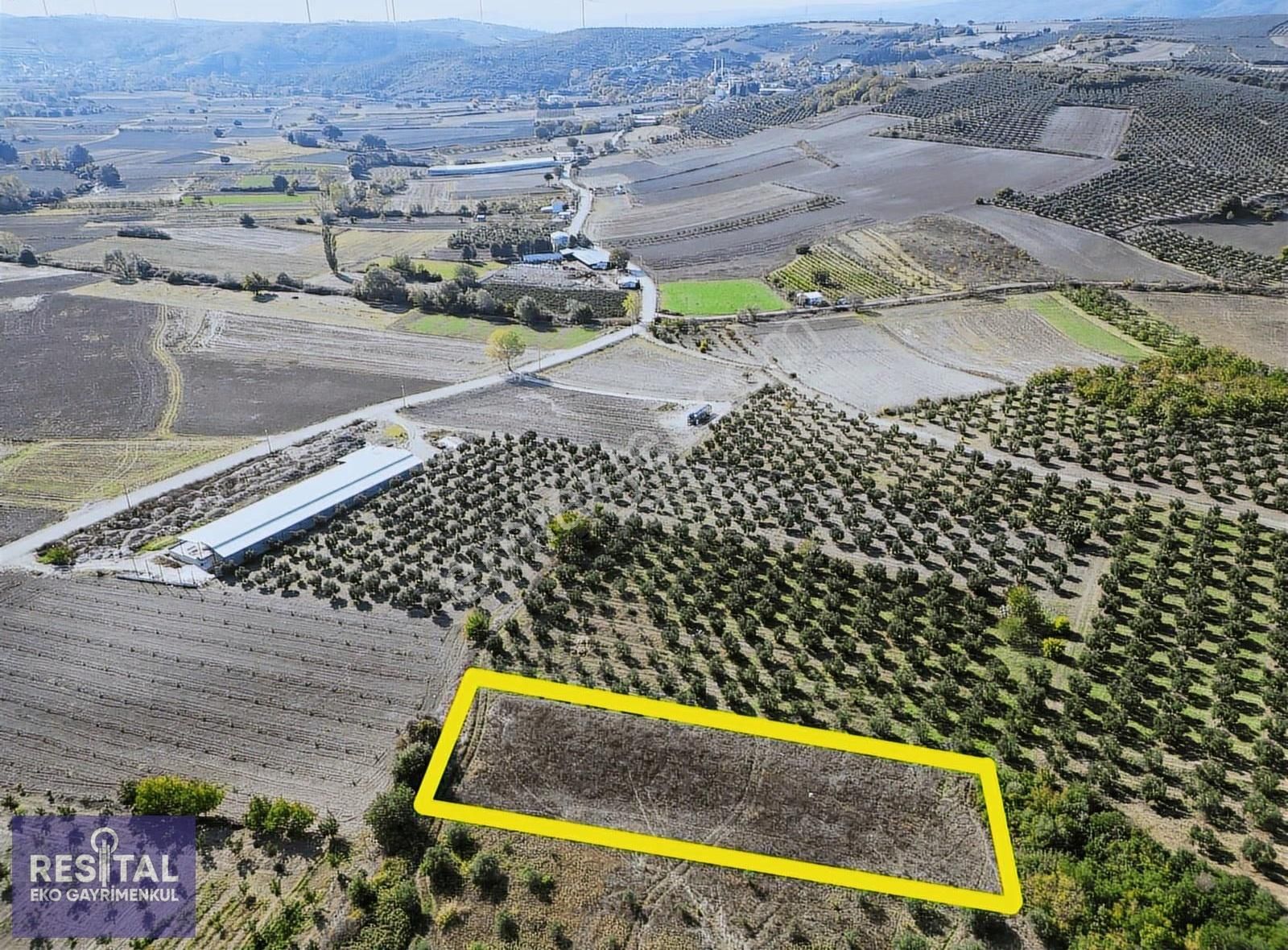 Bursa Teknosab Mudanya Evciler'de Satılık 2.201 M² Fırsat Arazi - Görsel 17