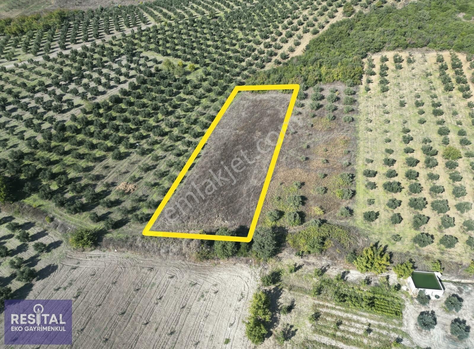 Bursa Teknosab Mudanya Evciler'de Satılık 2.201 M² Fırsat Arazi - Görsel 18