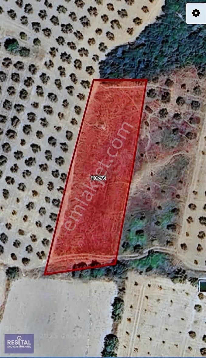 Bursa Teknosab Mudanya Evciler'de Satılık 2.201 M² Fırsat Arazi - Görsel 15