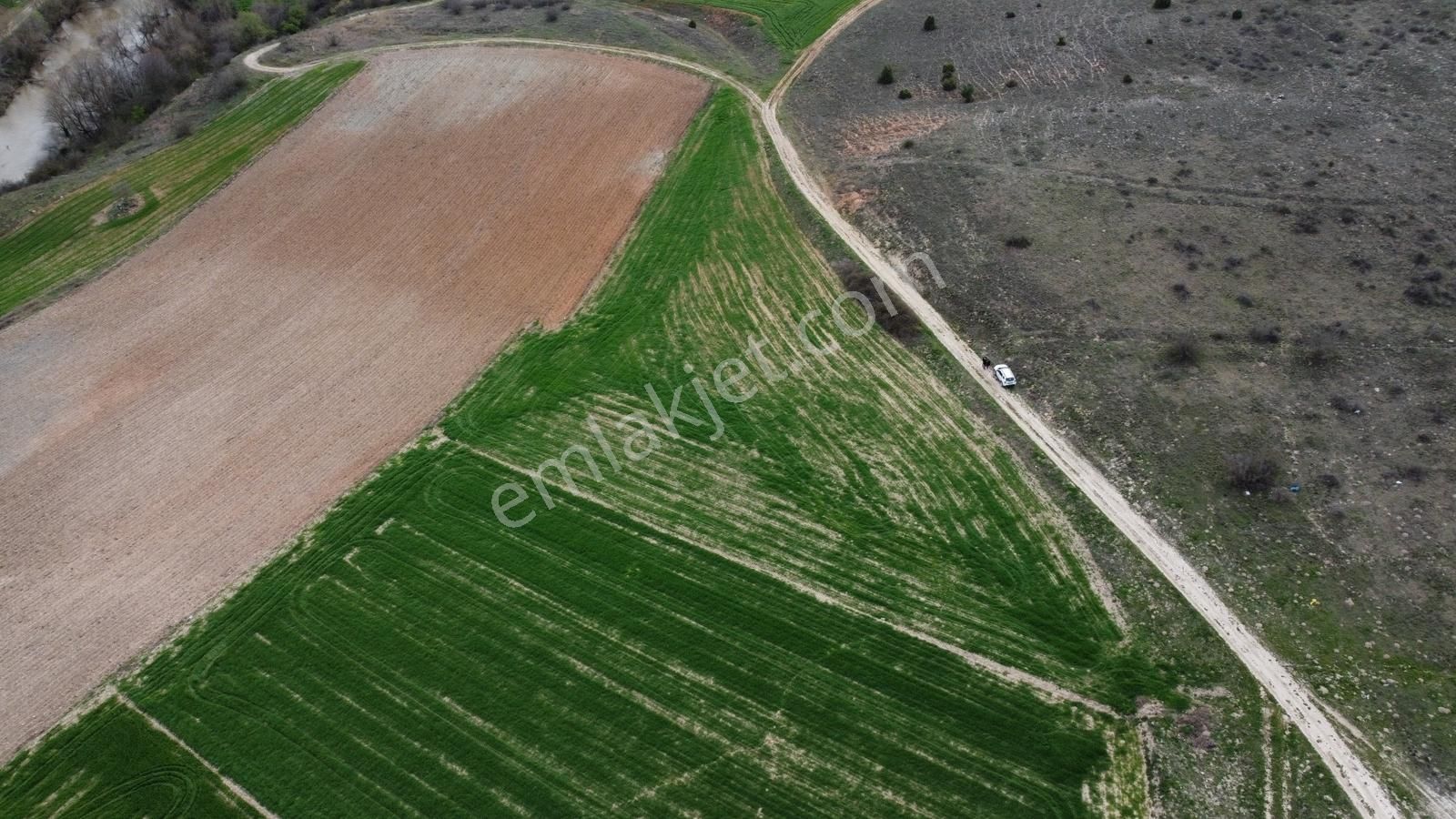 Karataş'tan 5382 M2 Ana Asfalta Yakın 150 M2 Ev Ruhsatı Alınır - Görsel 6