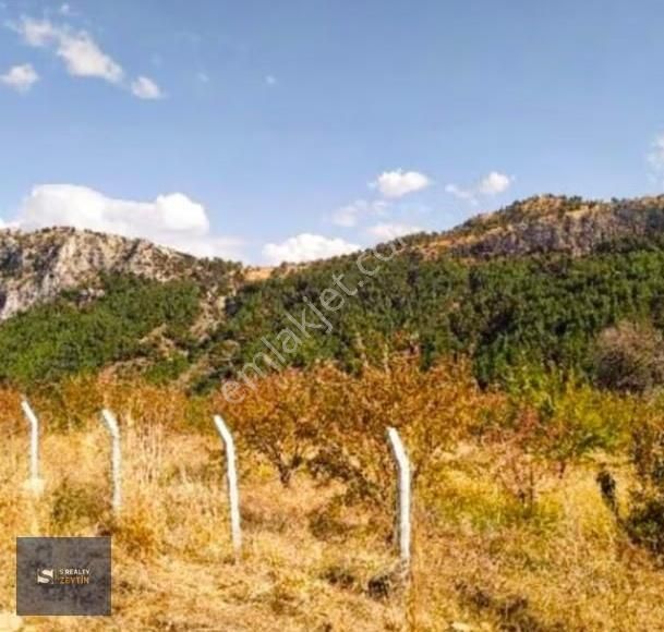 !3 Gün Geçerli Fiyat!! Bostanözünde Etrafı Çevrili Badem Bahçesi - Görsel 10