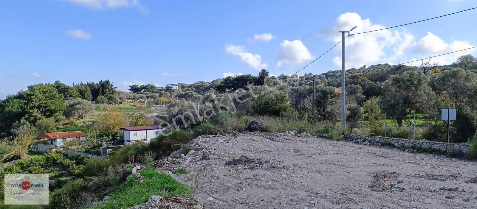 Asfalt Yola 65 Metre Cepheli, Deniz Gören, Zeytin Ağaçlı Tarla - Görsel 18