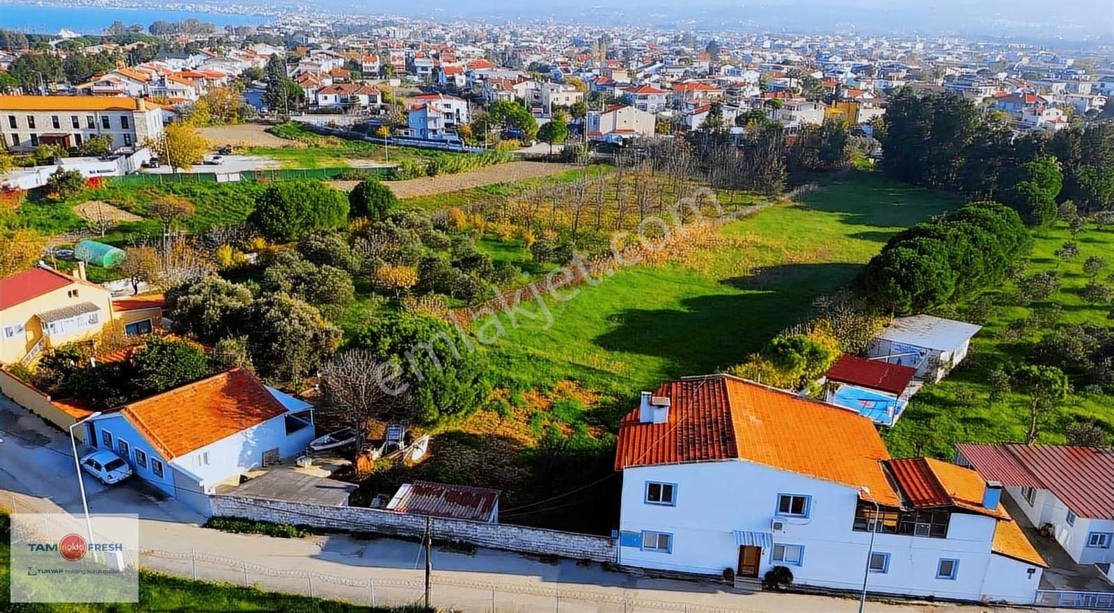 Denize Yürüme Mesafesinde Müstakil Evli Geniş Arazi - Görsel 16