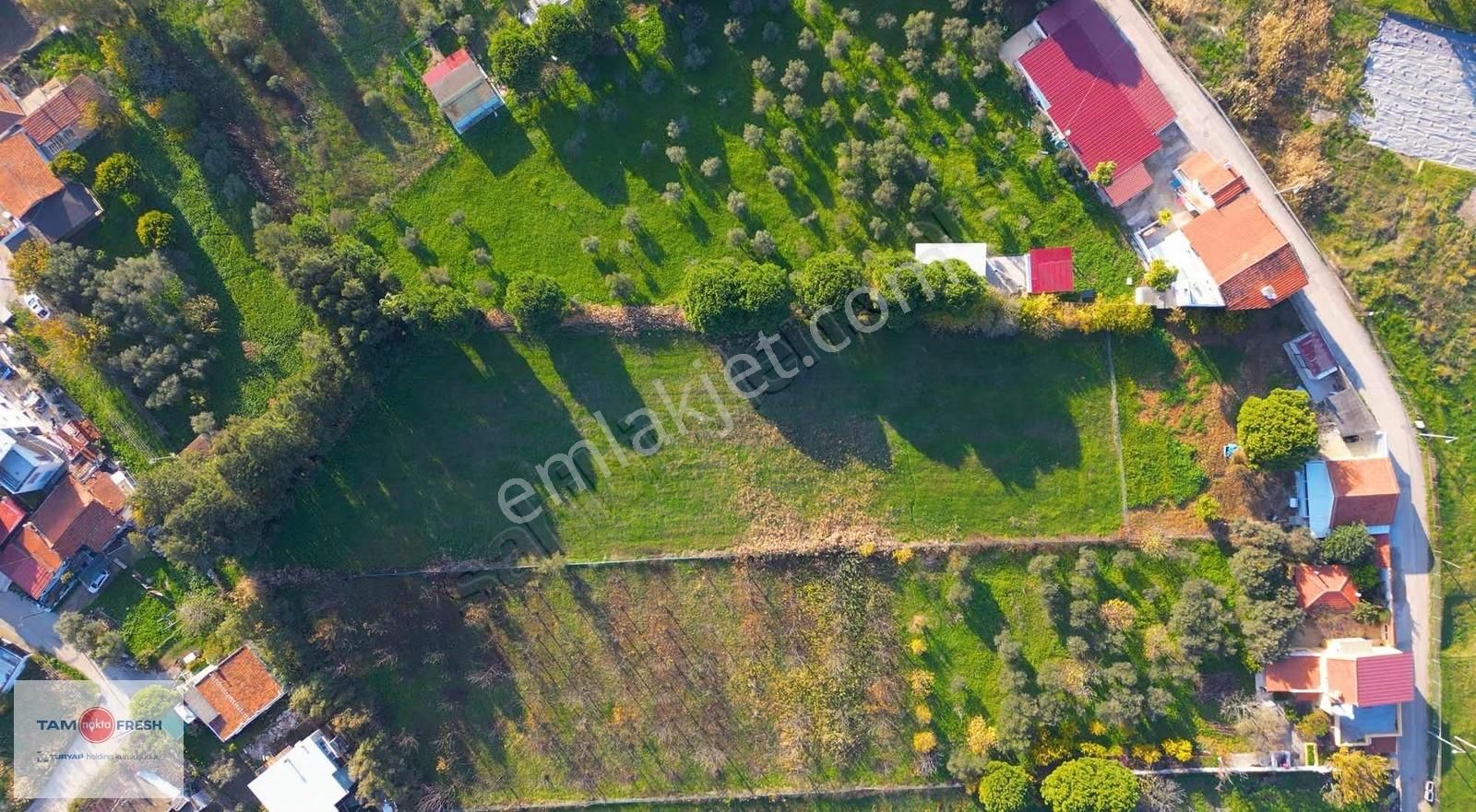 Denize Yürüme Mesafesinde Müstakil Evli Geniş Arazi - Görsel 13