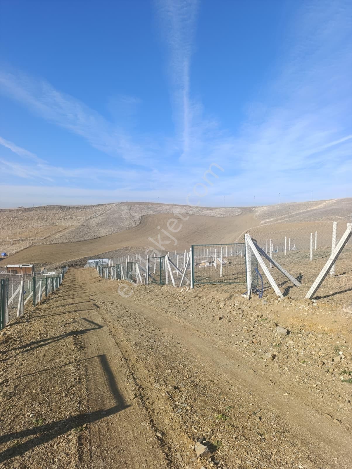 Sahibinden Satılık Ankara Akyurtta 250m2 Bahceler Merkeze 2km - Görsel 3