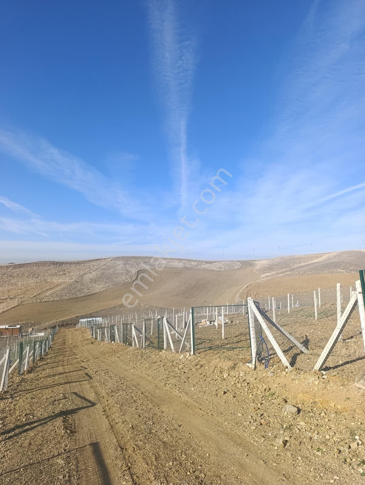 Sahibinden Satılık Ankara Akyurtta 250m2 Bahceler Merkeze 2km - Görsel 5