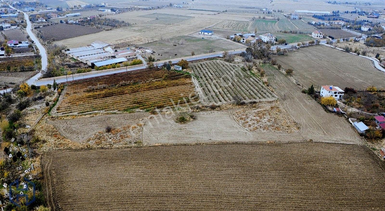 Harbert Yurtbaşı Cumhuriyet Mah. 13.785 M2 Satılık Tarla - Görsel 4