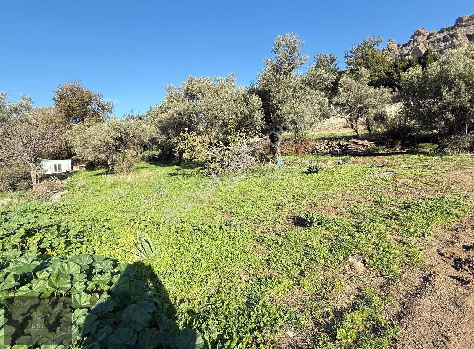 Bodrum Gündoğan 'da Ana Yola Yakın Satılık Arsa - Görsel 3