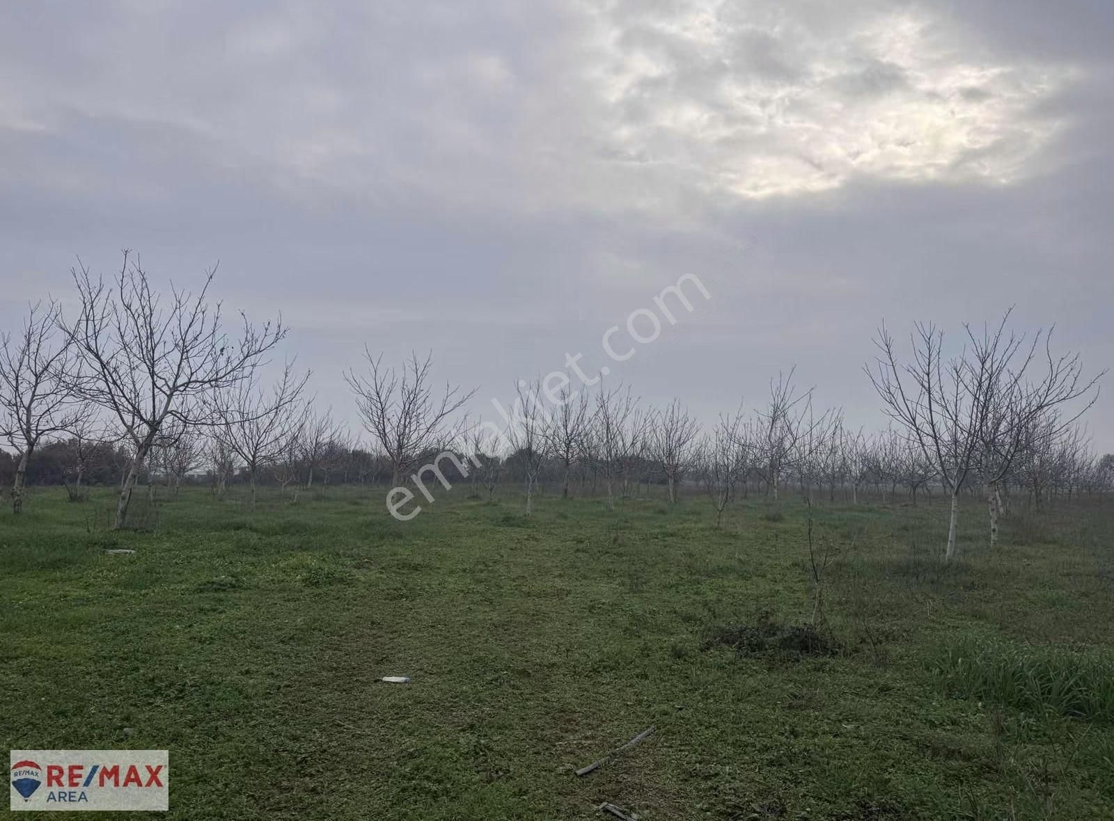 Remax Area Dan Satılık 22525 M2 Ceviz Bahçesi Ve Ev - Görsel 11