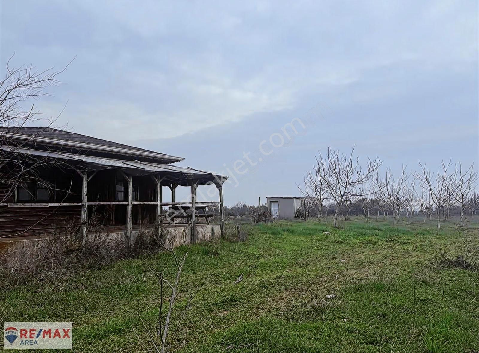 Remax Area Dan Satılık 22525 M2 Ceviz Bahçesi Ve Ev