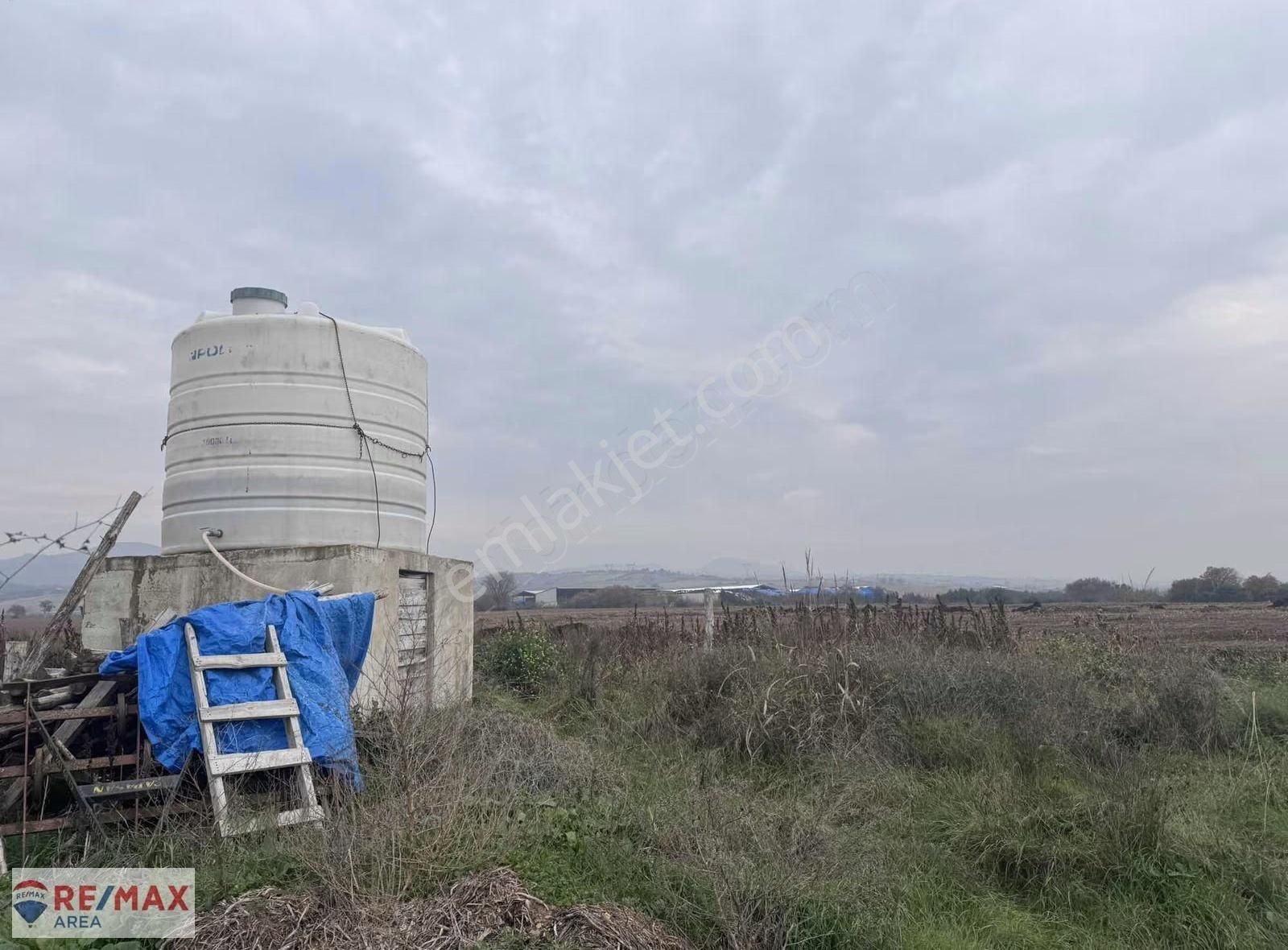 Remax Area Dan Satılık 22525 M2 Ceviz Bahçesi Ve Ev - Görsel 7