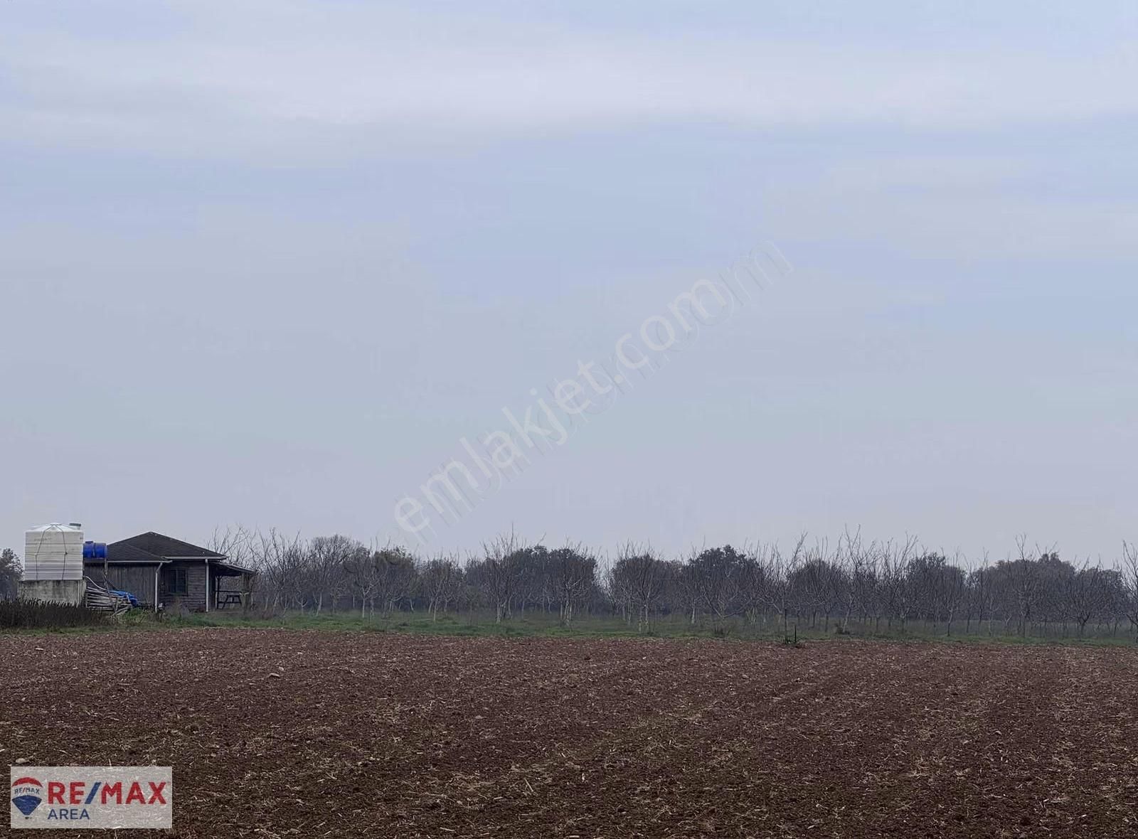 Remax Area Dan Satılık 22525 M2 Ceviz Bahçesi Ve Ev - Görsel 15