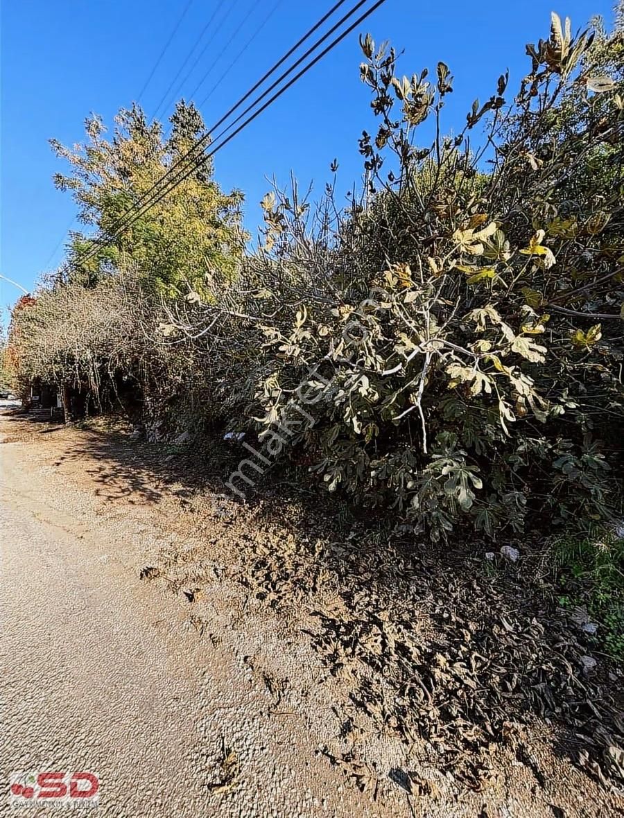 Armutalanda İçinde Kargır Ev Olan 950 M2 Arsa Ev 120 M2 - Görsel 7