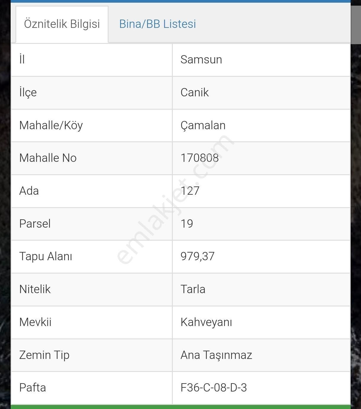 Truva/nazım Demirci'den Canik Çamalan Satılık Fındık Bahçeleri - Görsel 18