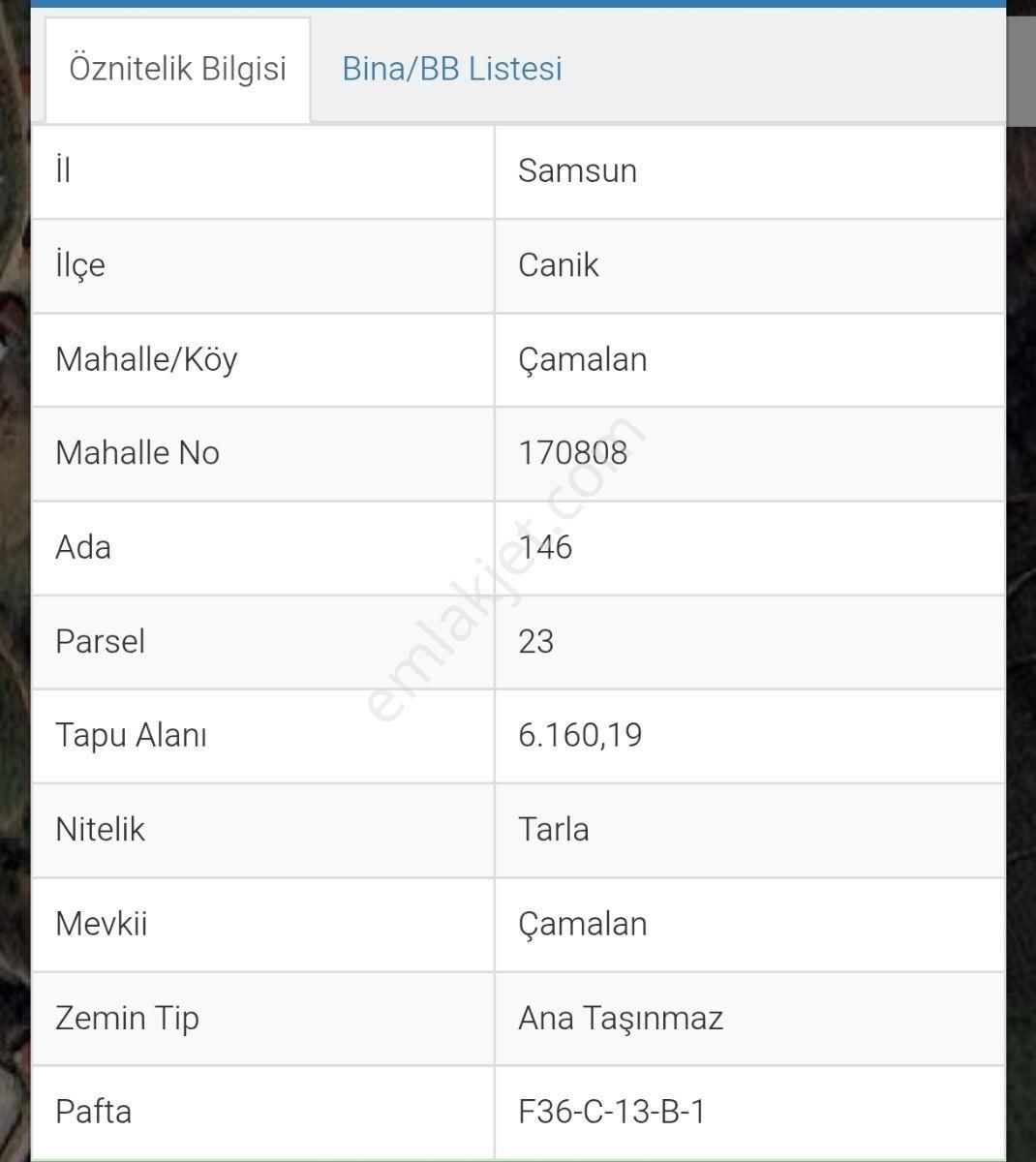 Truva/nazım Demirci'den Canik Çamalan Satılık Fındık Bahçeleri - Görsel 11