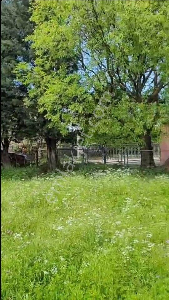 Karadağ’da Avrupa’ya Açılan Yatırım | 2401 M² Arsa + Ev | Oturum & Vatandaşlık Avantajı - Görsel 5