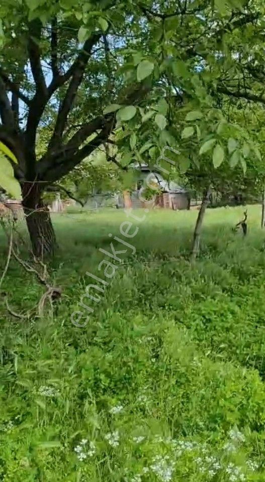 Karadağ’da Avrupa’ya Açılan Yatırım | 2401 M² Arsa + Ev | Oturum & Vatandaşlık Avantajı - Görsel 7