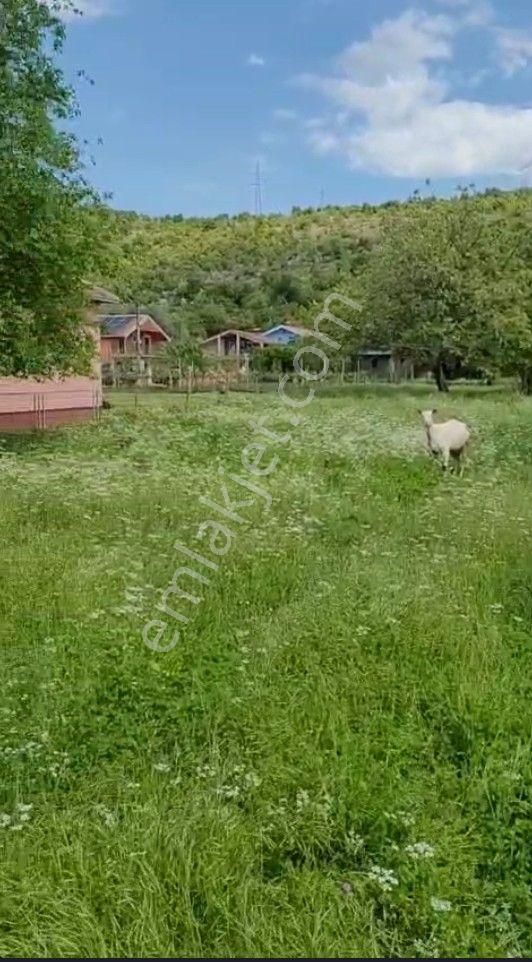 Karadağ’da Avrupa’ya Açılan Yatırım | 2401 M² Arsa + Ev | Oturum & Vatandaşlık Avantajı - Görsel 4