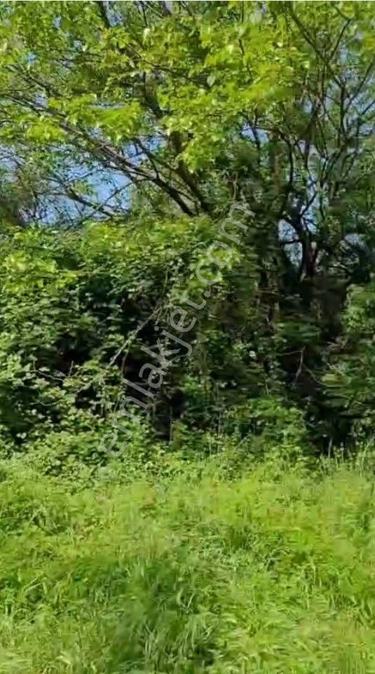 Karadağ’da Avrupa’ya Açılan Yatırım | 2401 M² Arsa + Ev | Oturum & Vatandaşlık Avantajı - Görsel 10