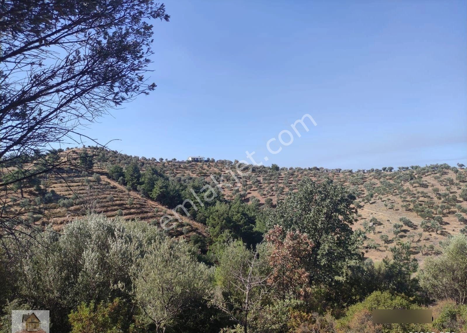 Seferihisar Ulamış'ta Merkeze Yakın Kupon Tarla - Görsel 28