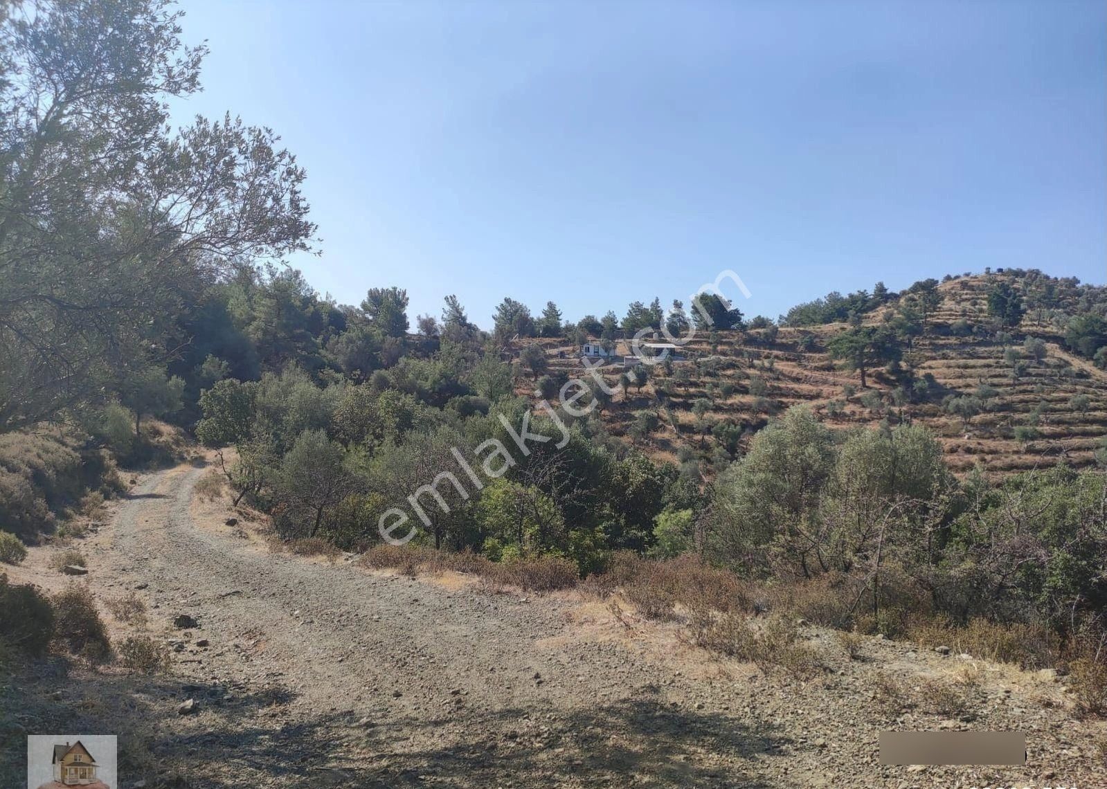 Seferihisar Ulamış'ta Merkeze Yakın Kupon Tarla - Görsel 31