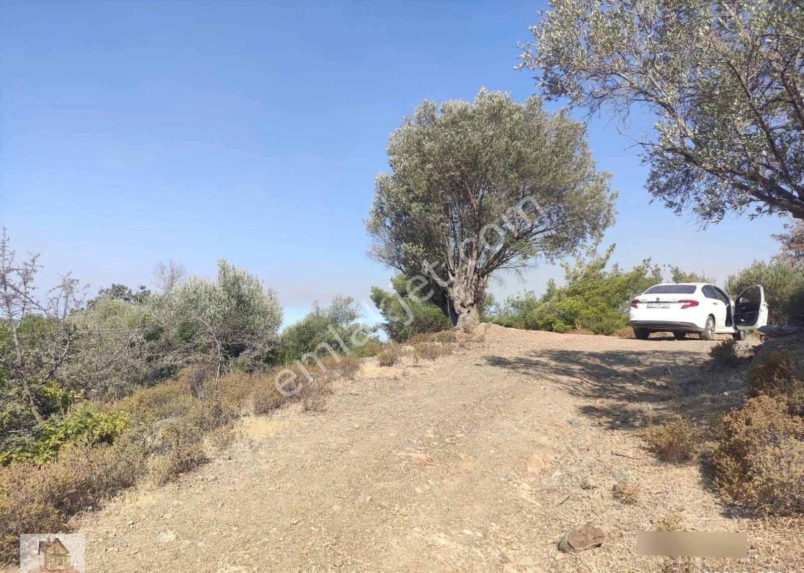 Seferihisar Ulamış'ta Merkeze Yakın Kupon Tarla - Görsel 11