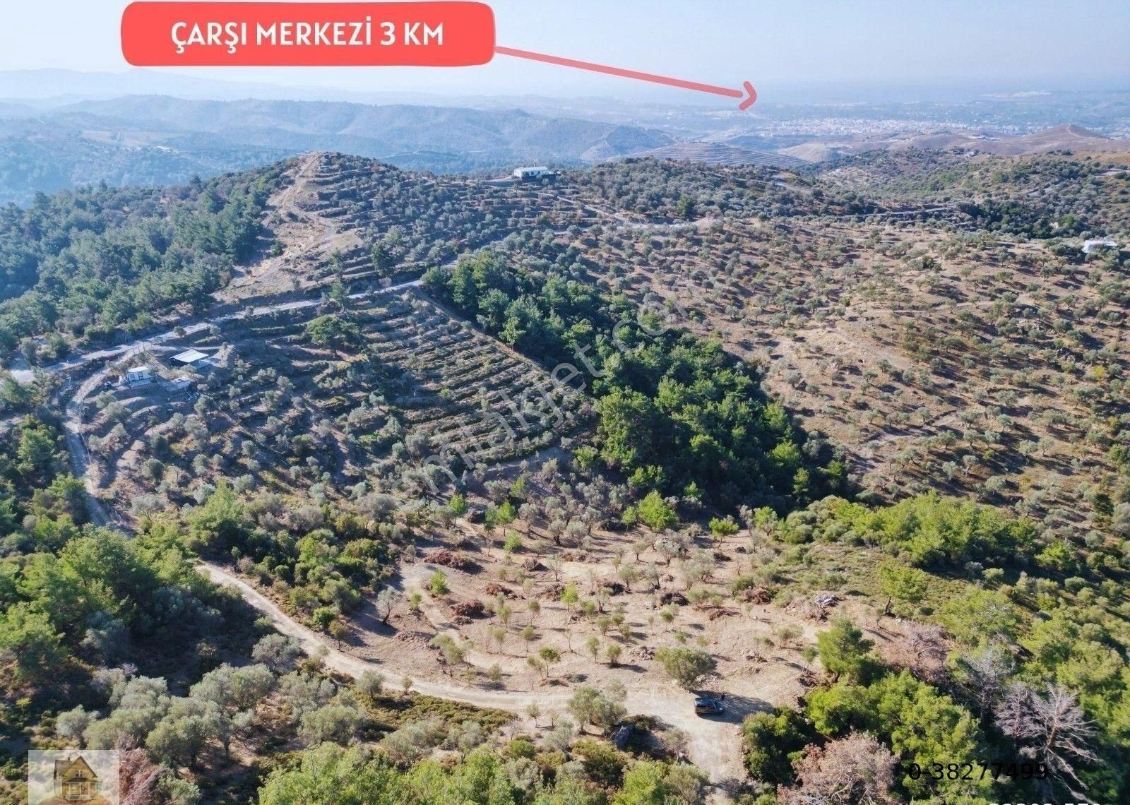 Seferihisar Ulamış'ta Merkeze Yakın Kupon Tarla - Görsel 16