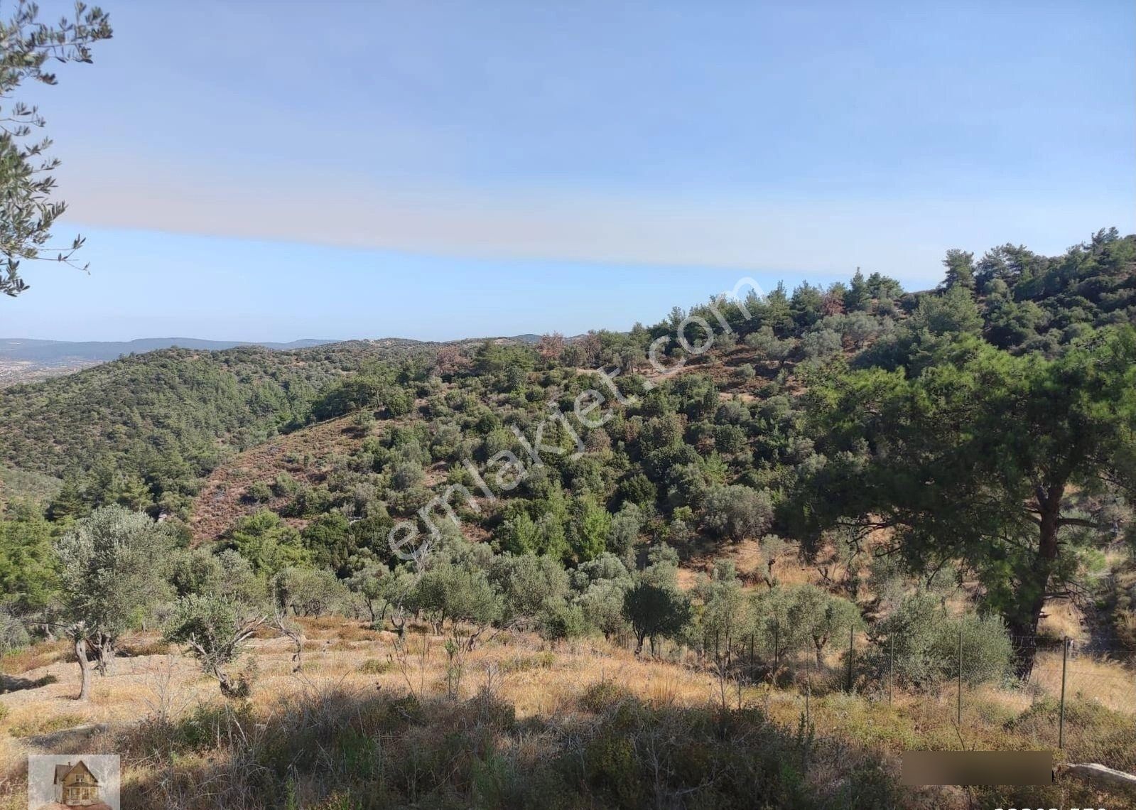 Seferihisar Ulamış'ta Merkeze Yakın Kupon Tarla - Görsel 18