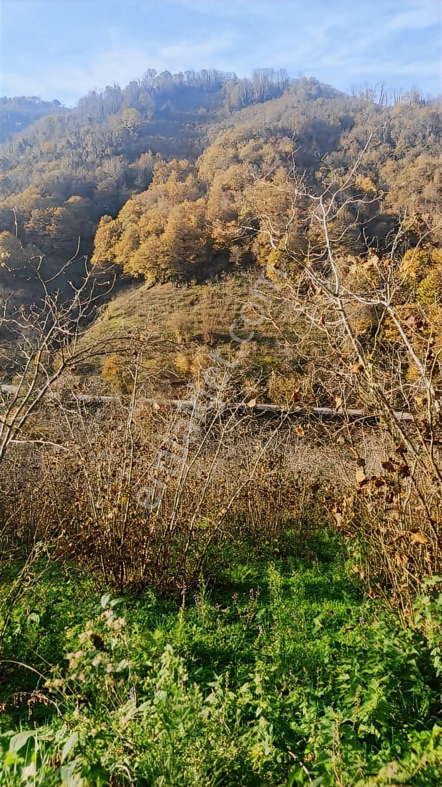 Kaçmaz Emlak'tan Ordu Fatfa İlçesi Mehmetakif Mah Satılık Arazı - Görsel 9