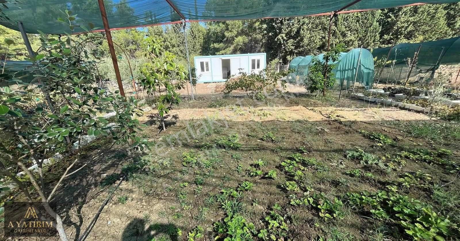 A Yatırımdan Aksu Yeşilkaraman Da Satılık 1050 M2 Tarla - Görsel 14