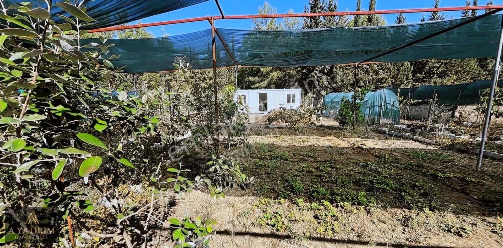 A Yatırımdan Aksu Yeşilkaraman Da Satılık 1050 M2 Tarla - Görsel 12