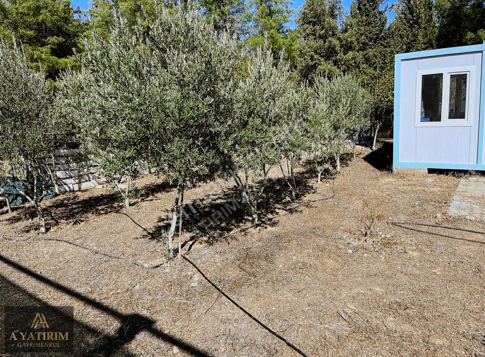 A Yatırımdan Aksu Yeşilkaraman Da Satılık 1050 M2 Tarla - Görsel 7