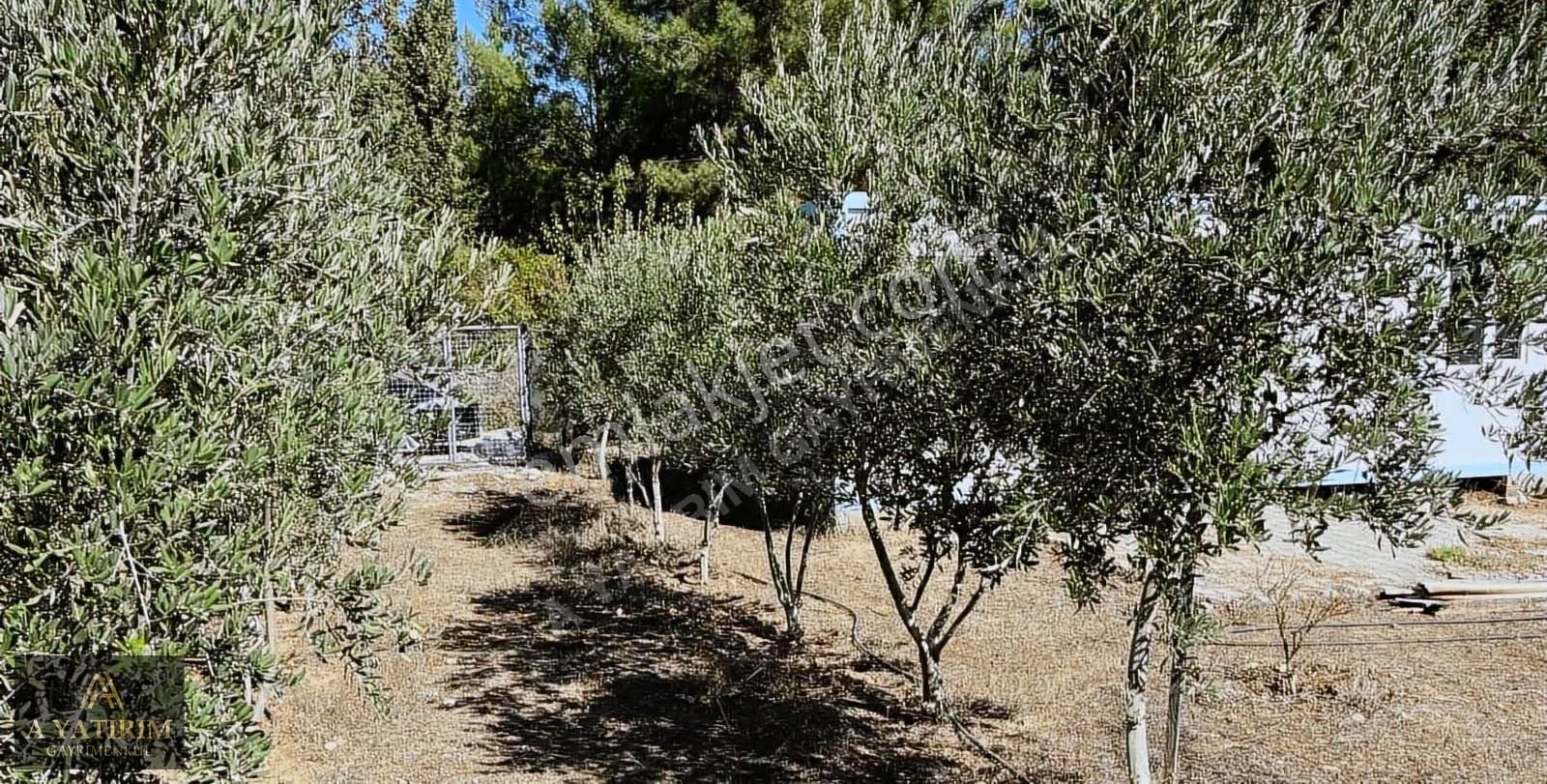 A Yatırımdan Aksu Yeşilkaraman Da Satılık 1050 M2 Tarla - Görsel 8