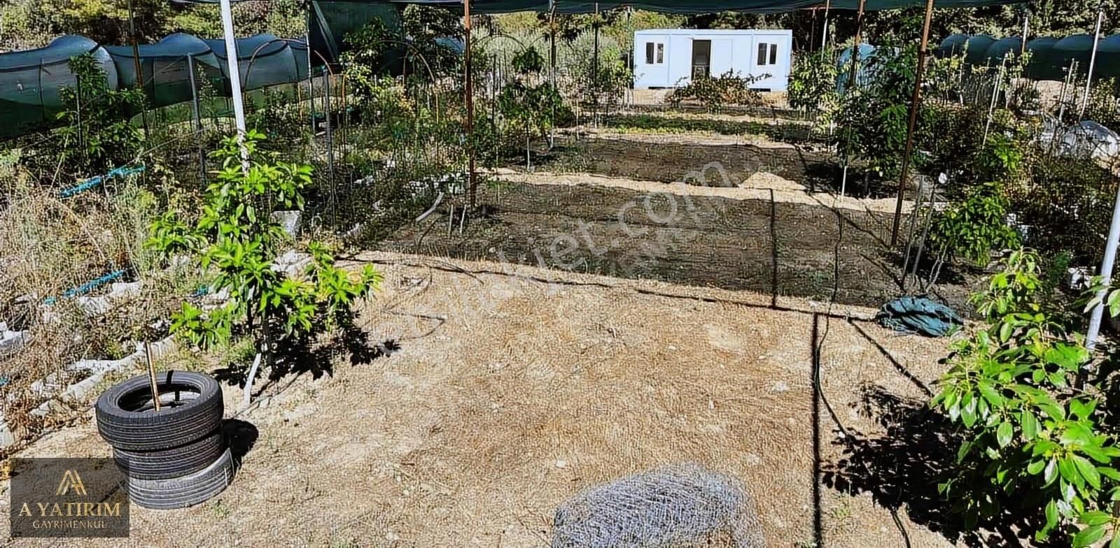 A Yatırımdan Aksu Yeşilkaraman Da Satılık 1050 M2 Tarla - Görsel 15