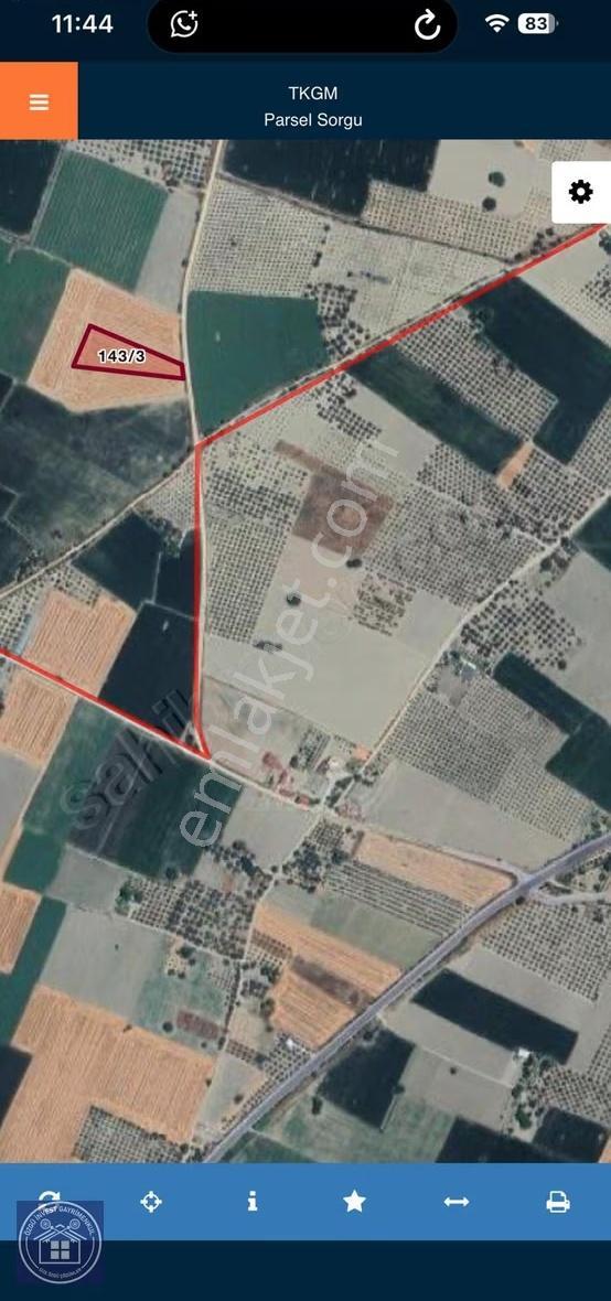 Özgü Gayrimenkul'den Kırkağaç'ta Yola Cepheli Verimli Tarlalar - Görsel 2