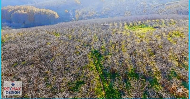 Remax Design Karasu Taşlıgeçitte Yatırımlık Tarla - Görsel 6