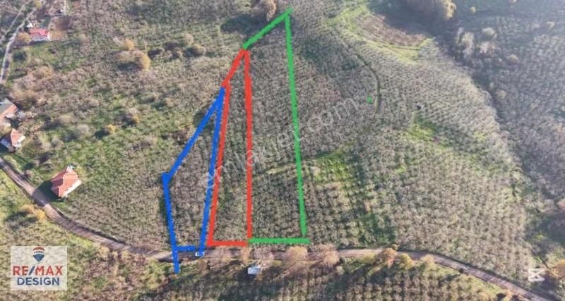 Remax Design Karasu Taşlıgeçitte Yatırımlık Tarla - Görsel 4