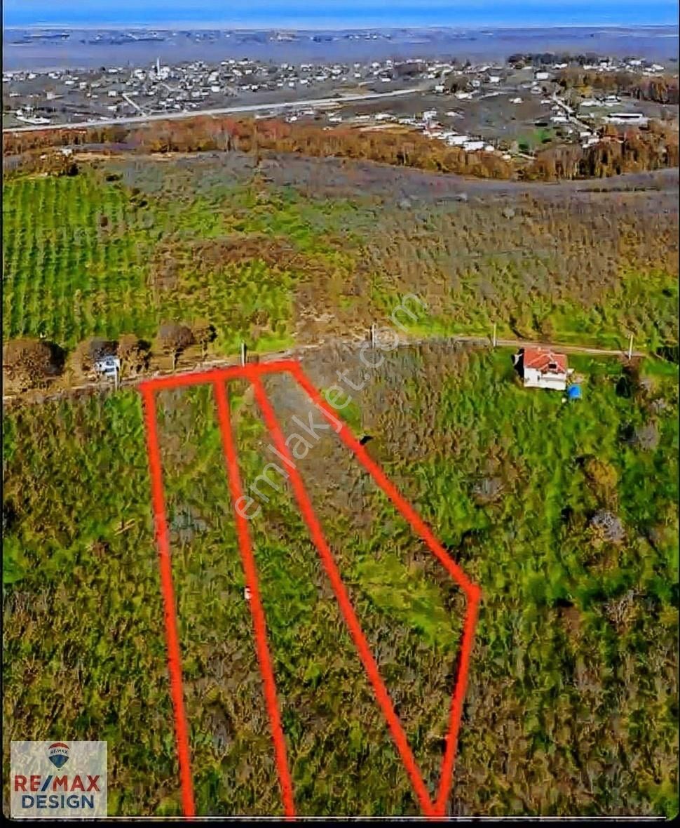 Remax Design Karasu Taşlıgeçitte Yatırımlık Tarla - Görsel 7
