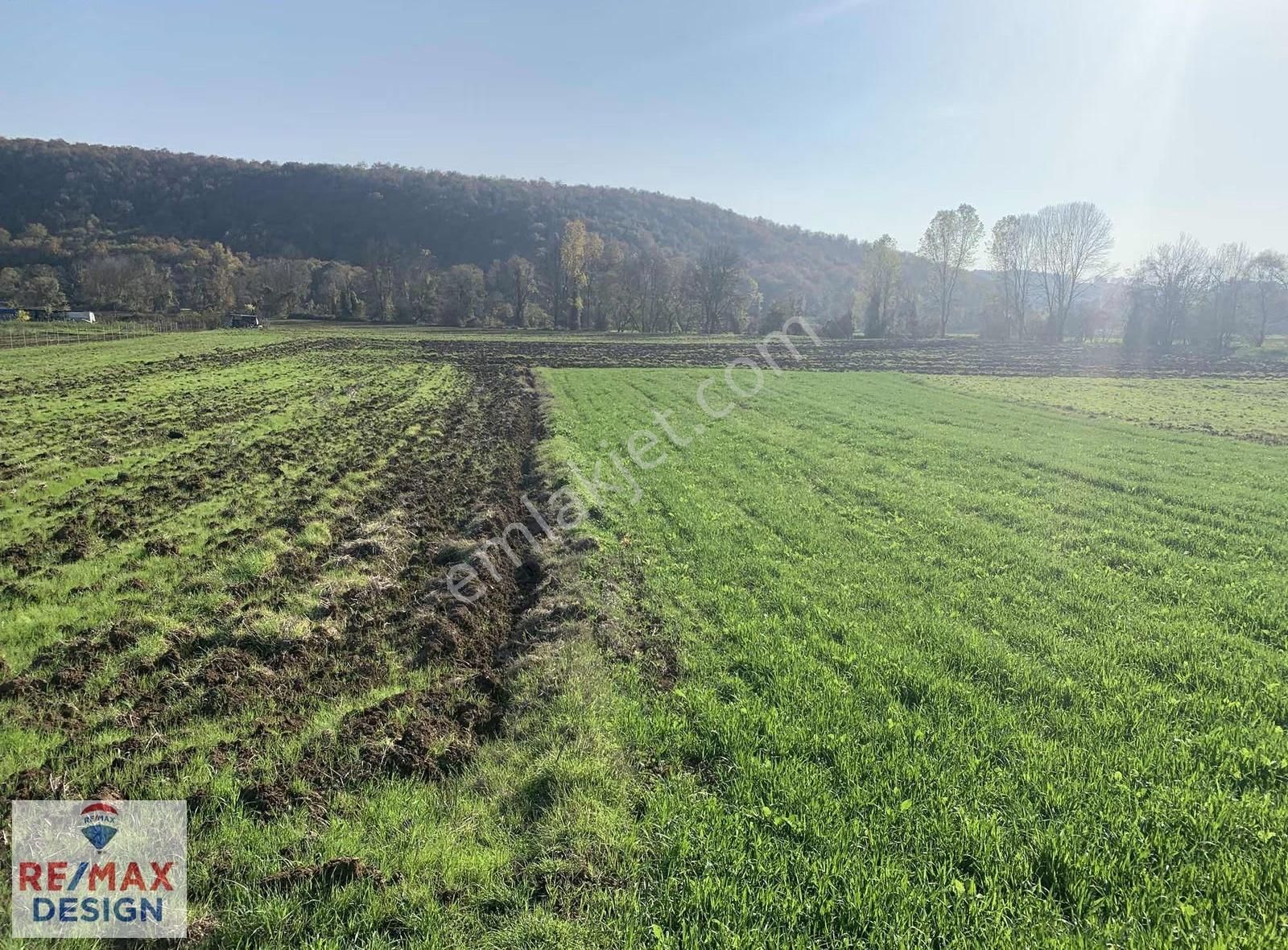 İzmit Yenice Mahallesi'nde 7951 Metre² Satılık Tarla - Görsel 21