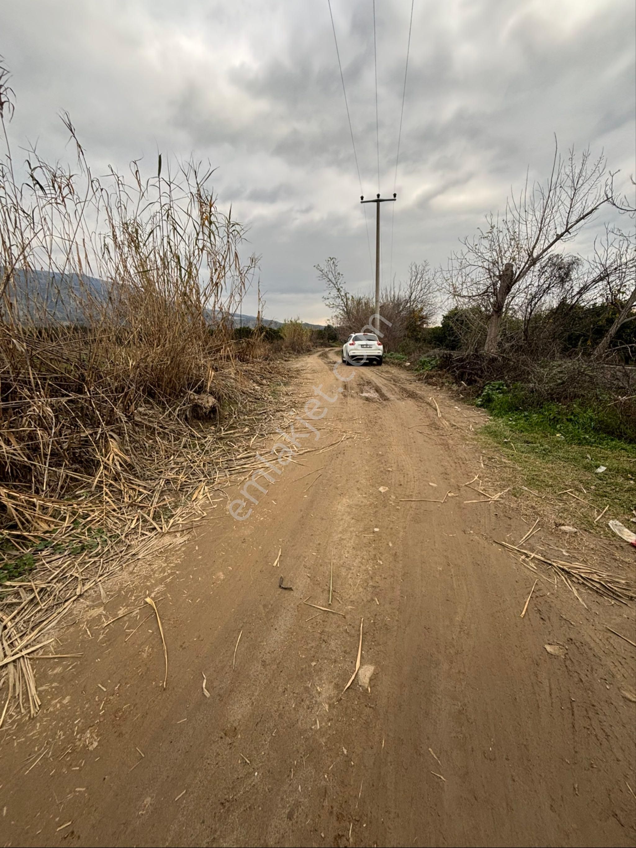 Sezgin Emlak Aydın Nazilli Hamzalı Fırsat Portakal Bahçesi Satılık