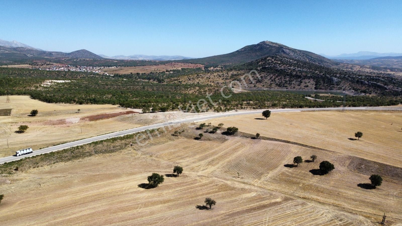 Asfalta Yakın Bahçe , Mete Mermer'den - Görsel 3