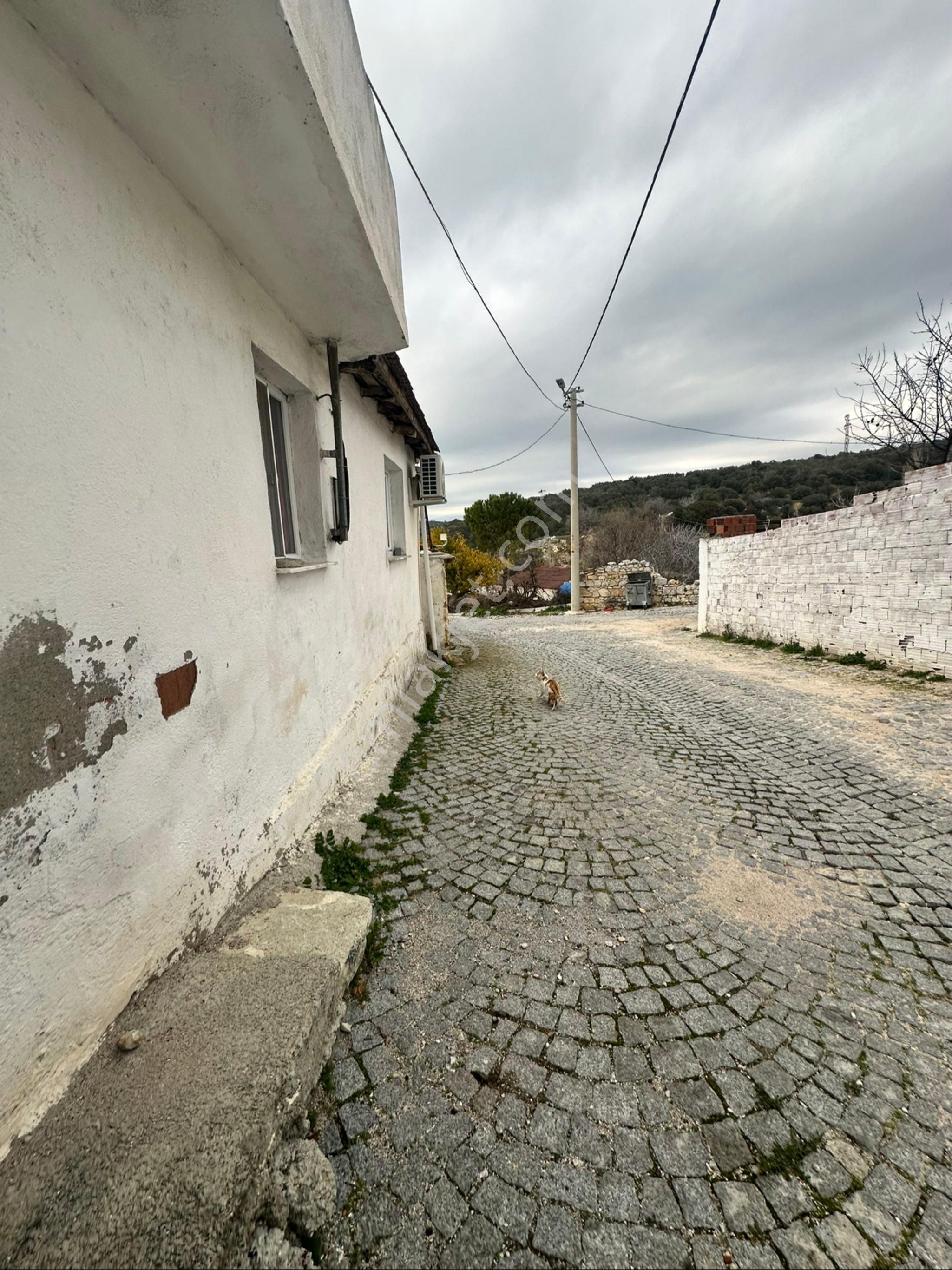 Bergama Zeytindağı Mahallesi Satılık Satılık Müstakil Ev - Görsel 20