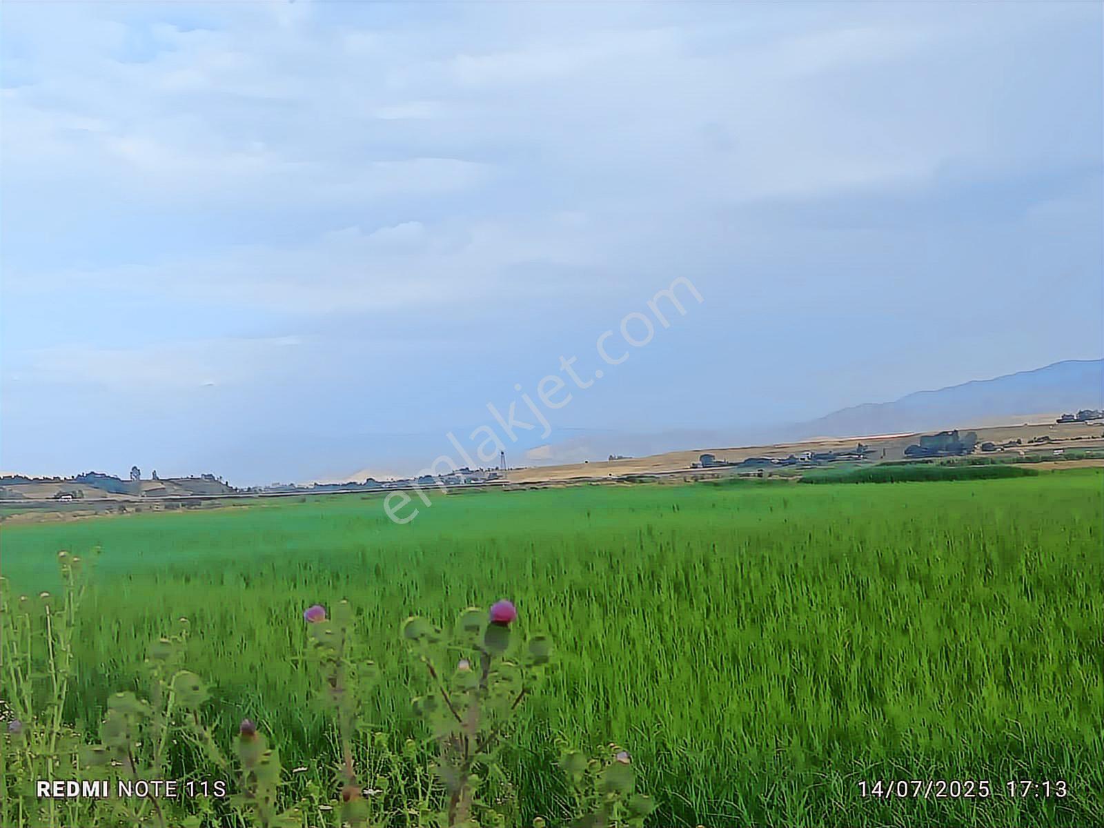 Edremit Andaç Mahallesinde Satılık 5 Dönüm Arsa - Görsel 9
