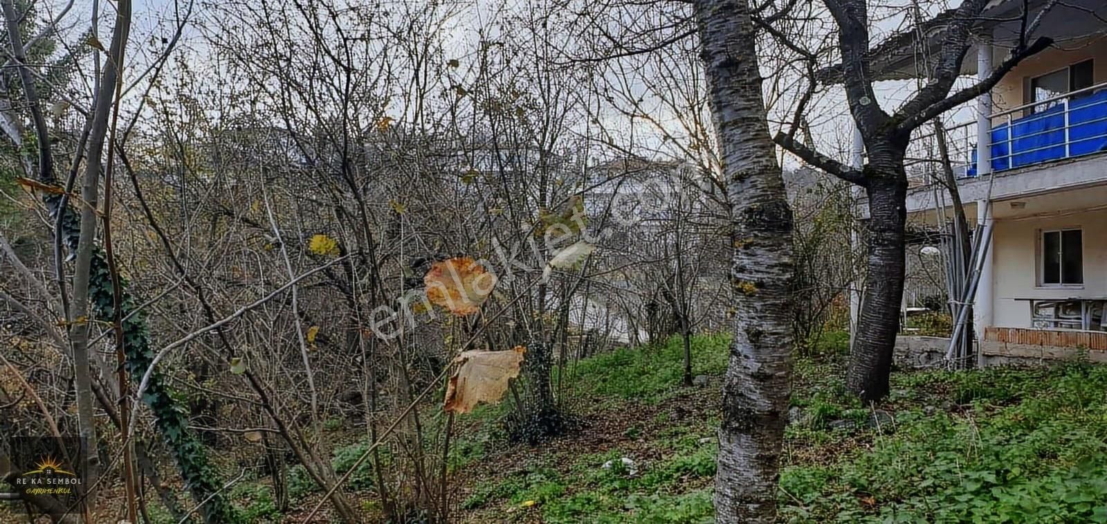 Sakarya/sapanca/memnuniye Mah. Satılık Ev Ve Fındık Bahçesi - Görsel 10