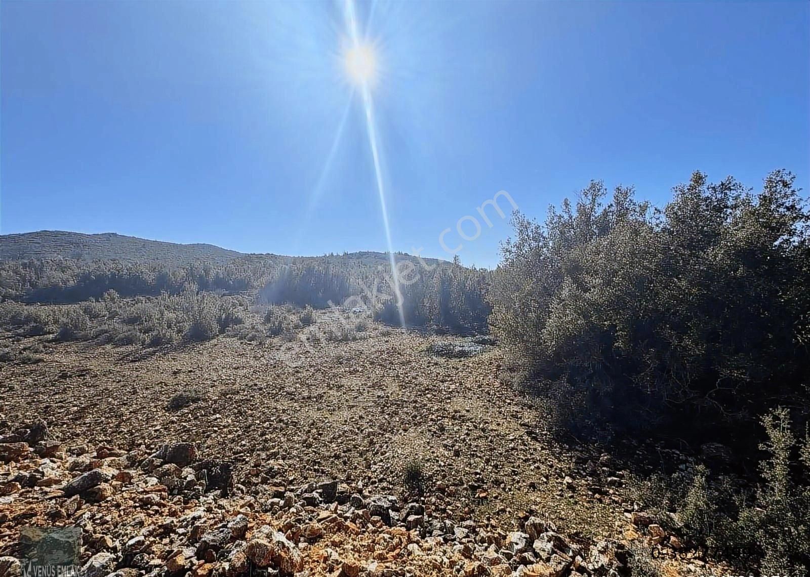 Venüs Emlak Demre Den Kaş Gökçeyazı Köyünde Satılık Tarla - Görsel 15